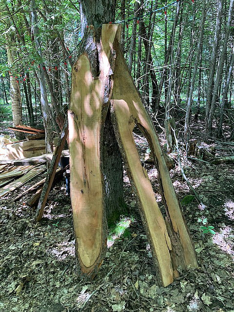 large black cherry wood slab for sale